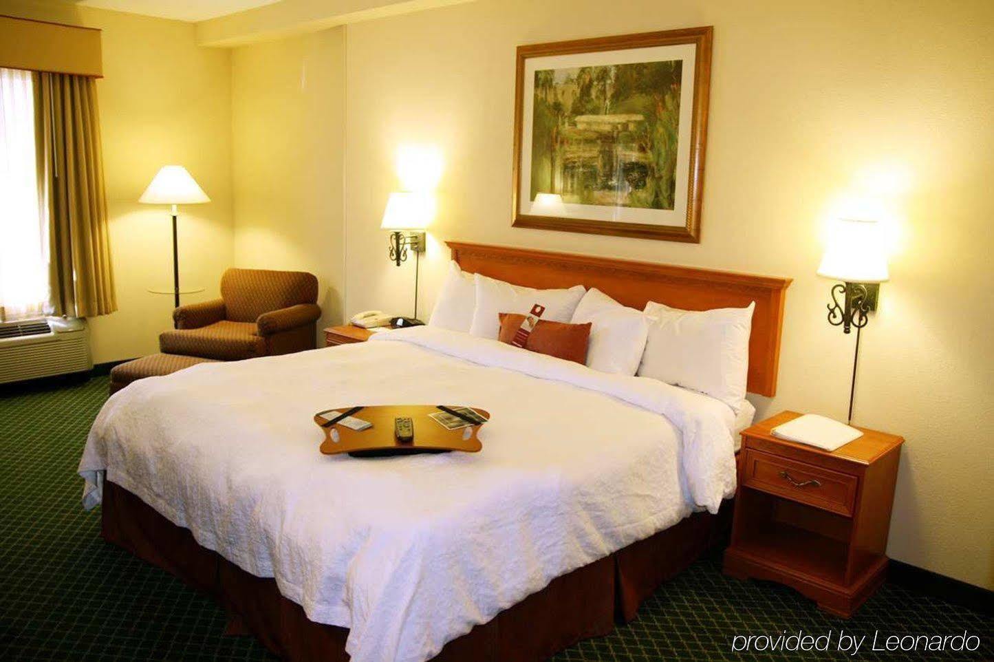 Hampton Inn & Suites St. Petersburg/Downtown Rum bild